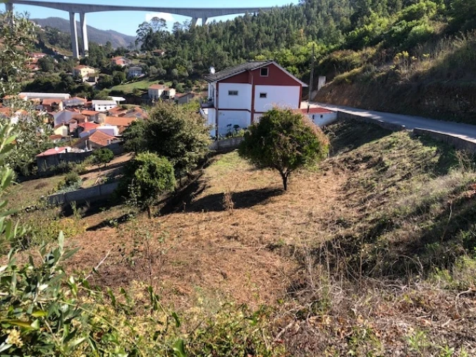 Terreno para Venda em Ceira Foto 14