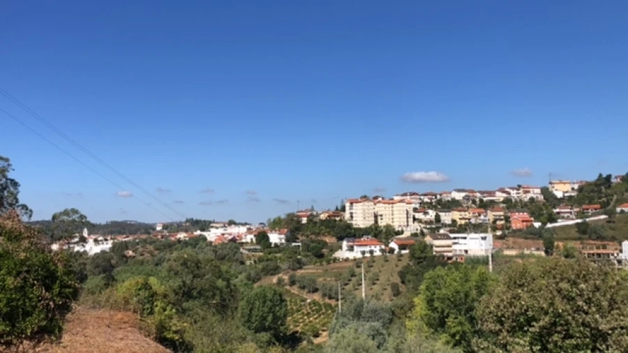 Terreno para Venda em Ceira Foto 18