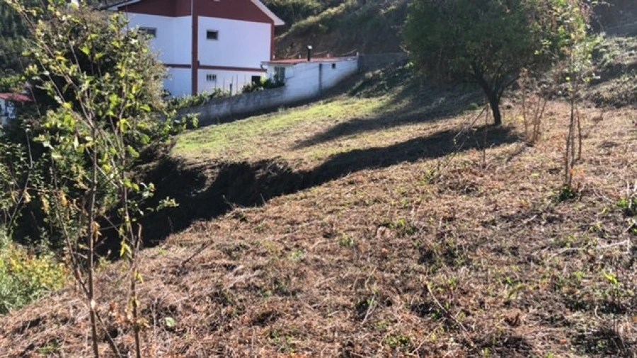 Terreno para Venda em Ceira Foto 10