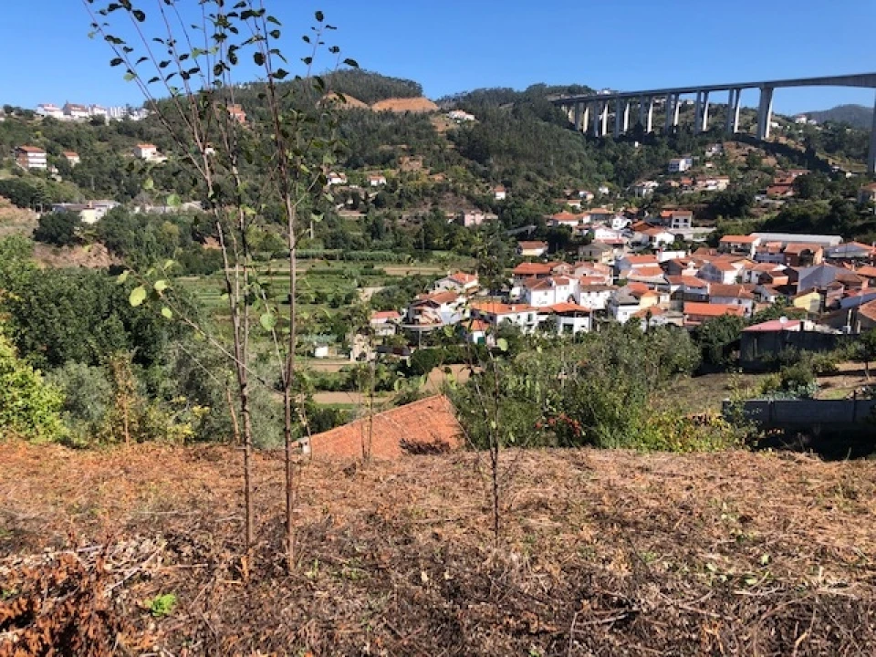 Terreno para Venda em Ceira Foto 11