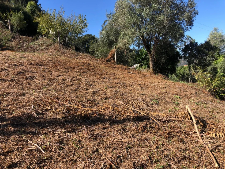 Terreno para Venda em Ceira Foto 6