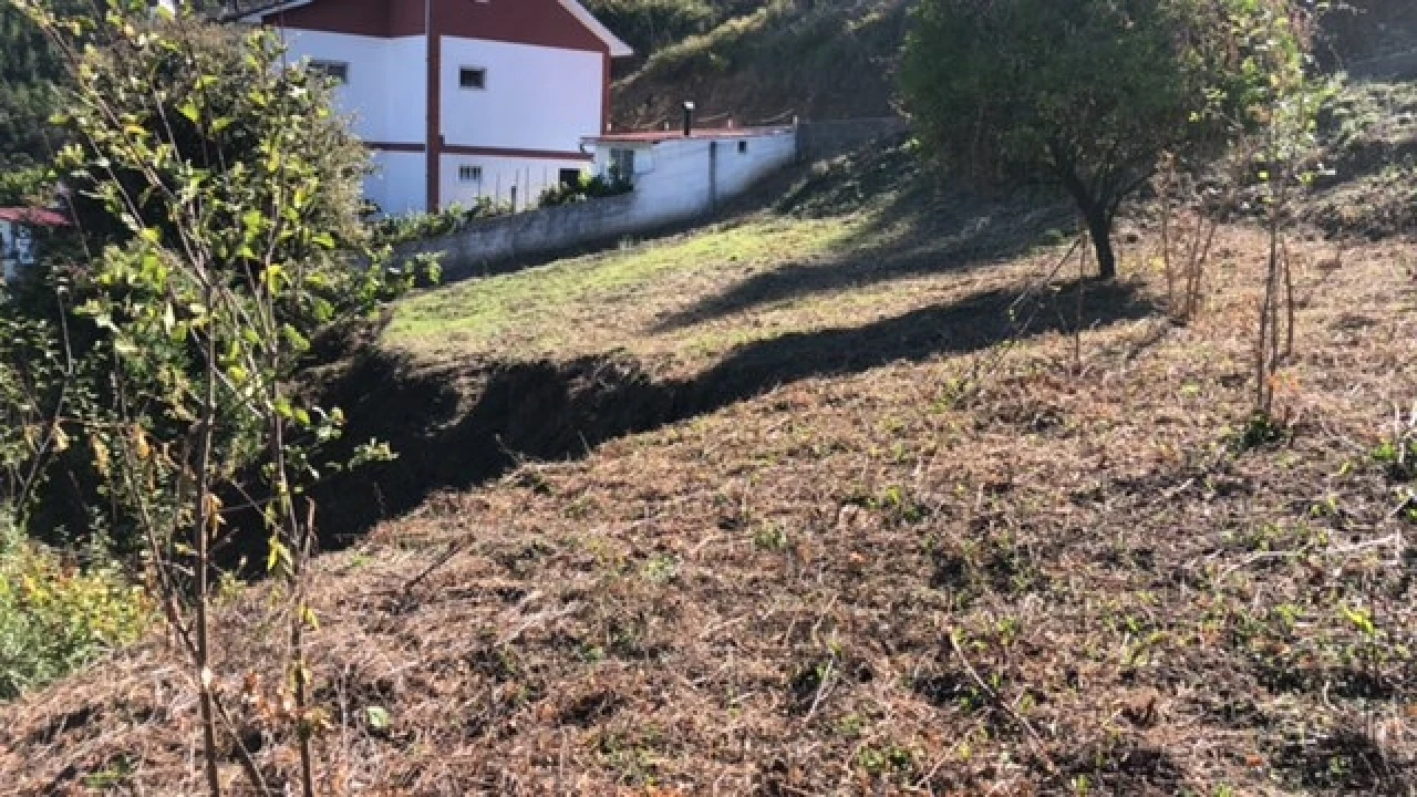 Terreno para Venda em Ceira Foto 10