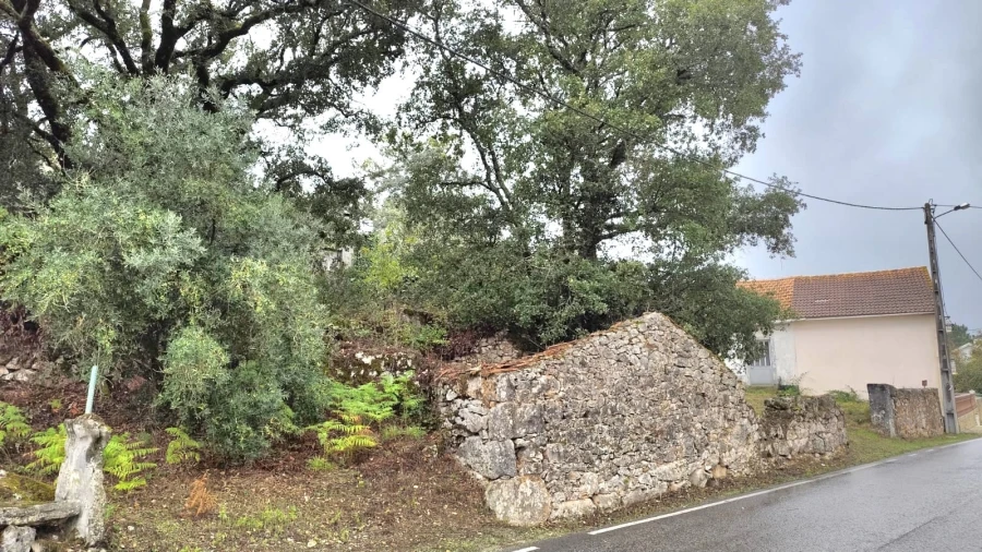 Moradia T2 para Venda em São Mamede Foto 8