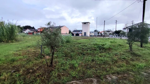 Terreno para Venda em Marinha Grande
