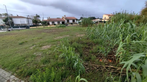 Terreno para Venda em Marinha Grande