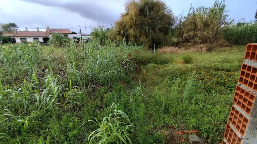 Terreno para Venda em Marinha Grande Foto 23