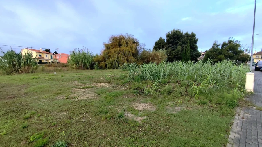 Terreno para Venda em Marinha Grande Foto 4