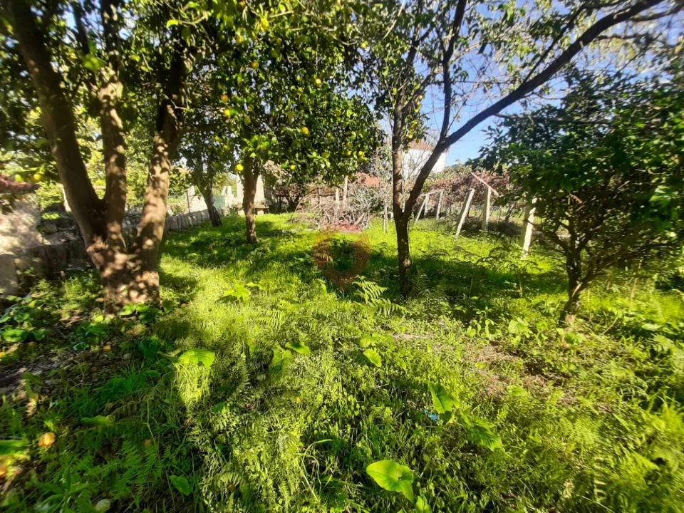 Moradia T2 para Venda em Messegães, Valadares e Sá Foto 8