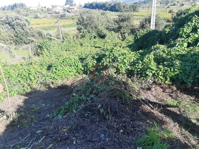 Moradia T2 para Venda em Messegães, Valadares e Sá Foto 10