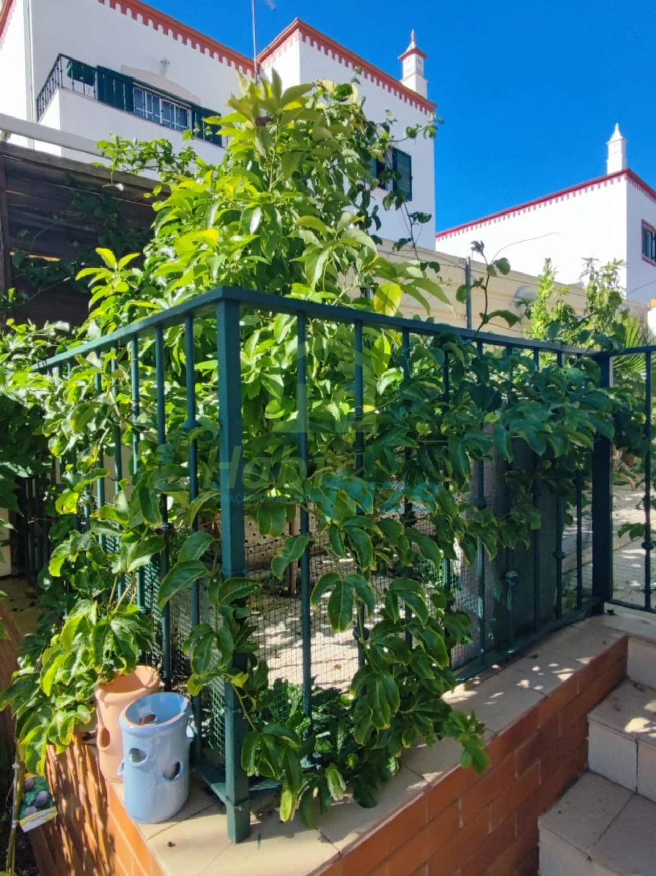 Moradia T3 para Venda em Alcantarilha e Pêra Foto 13