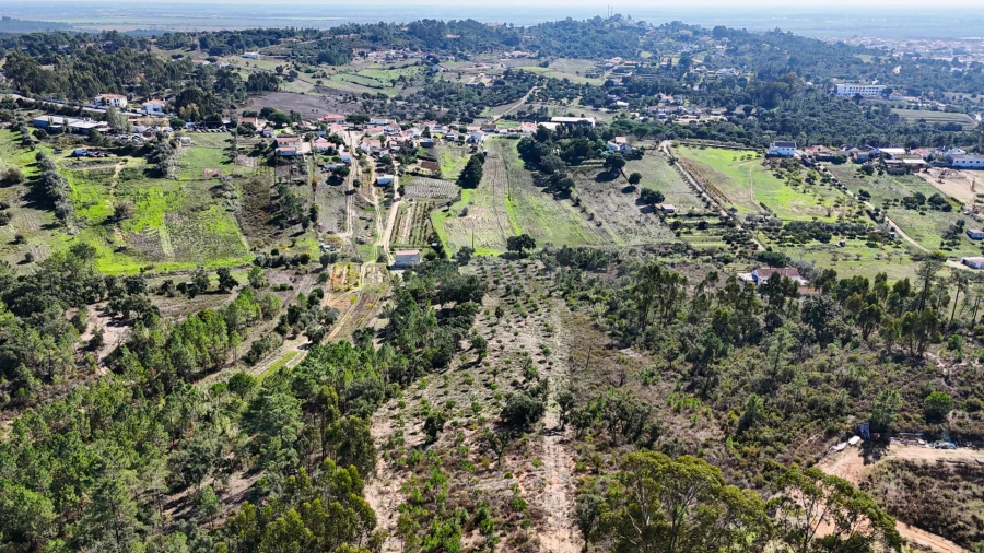 Terreno para Venda em Azambuja