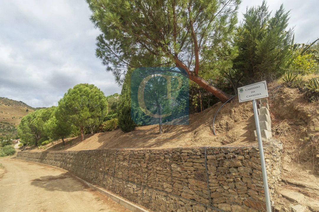 Quinta T3 para Venda em Seixo de Ansiães Foto 23