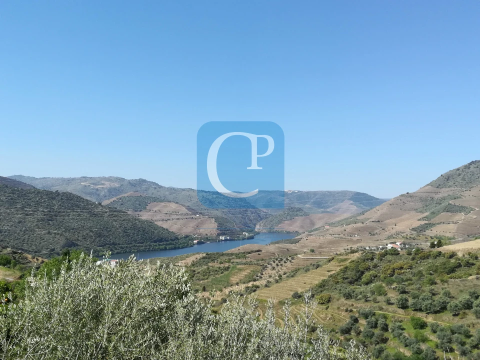 Quinta T3 para Venda em Seixo de Ansiães Foto 39