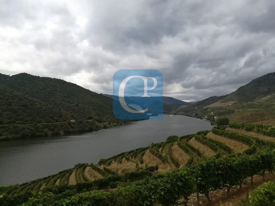 Quinta T3 para Venda em Seixo de Ansiães Foto 33