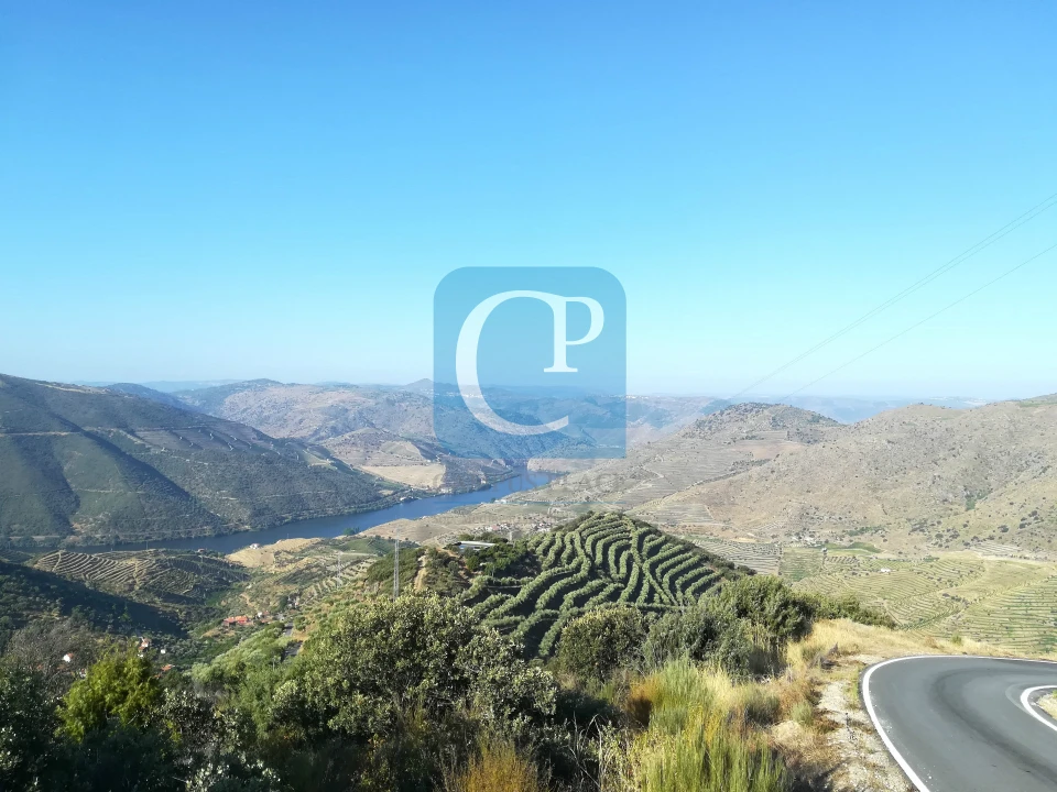 Quinta T3 para Venda em Seixo de Ansiães Foto 34