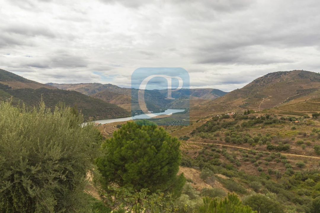 Quinta T3 para Venda em Seixo de Ansiães Foto 25