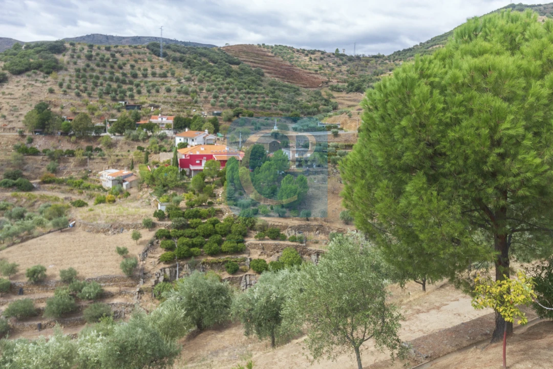Quinta T3 para Venda em Seixo de Ansiães Foto 28