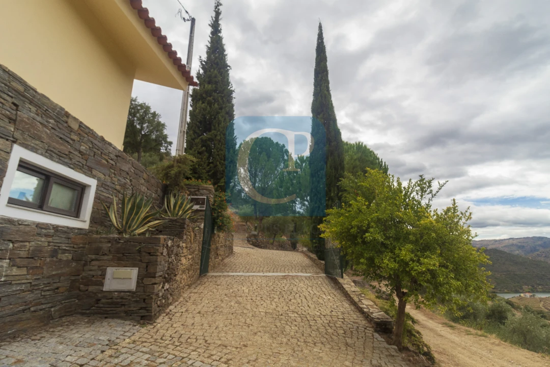 Quinta T3 para Venda em Seixo de Ansiães Foto 18