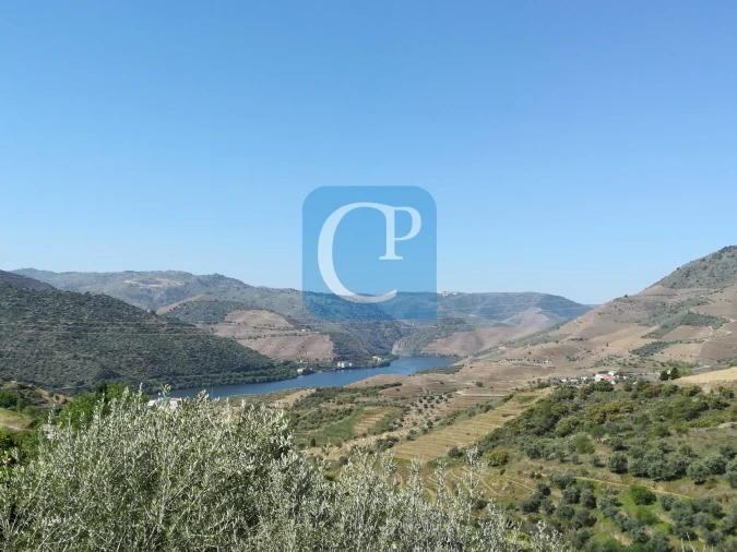 Quinta T3 para Venda em Seixo de Ansiães Foto 39