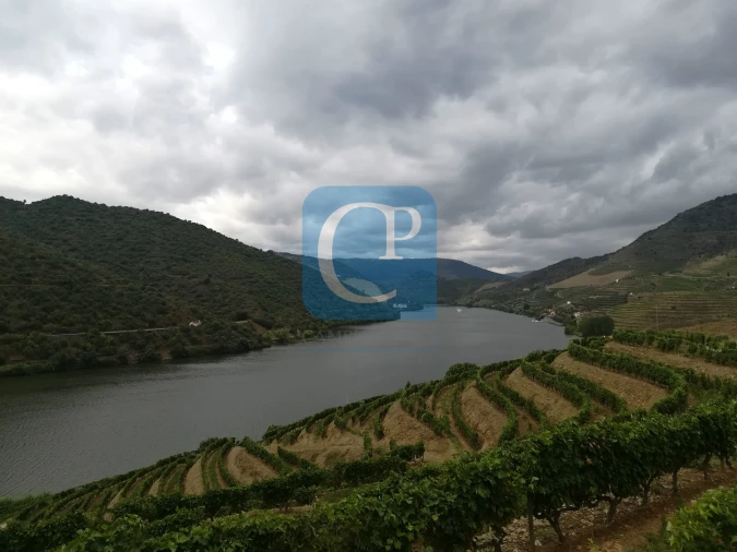 Quinta T3 para Venda em Seixo de Ansiães Foto 33