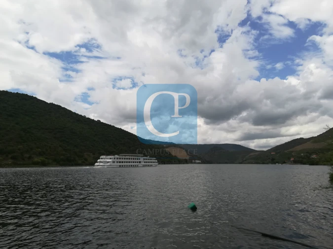 Quinta T3 para Venda em Seixo de Ansiães Foto 32