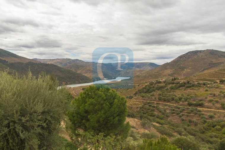 Quinta T3 para Venda em Seixo de Ansiães Foto 25