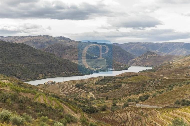 Quinta T3 para Venda em Seixo de Ansiães Foto 29