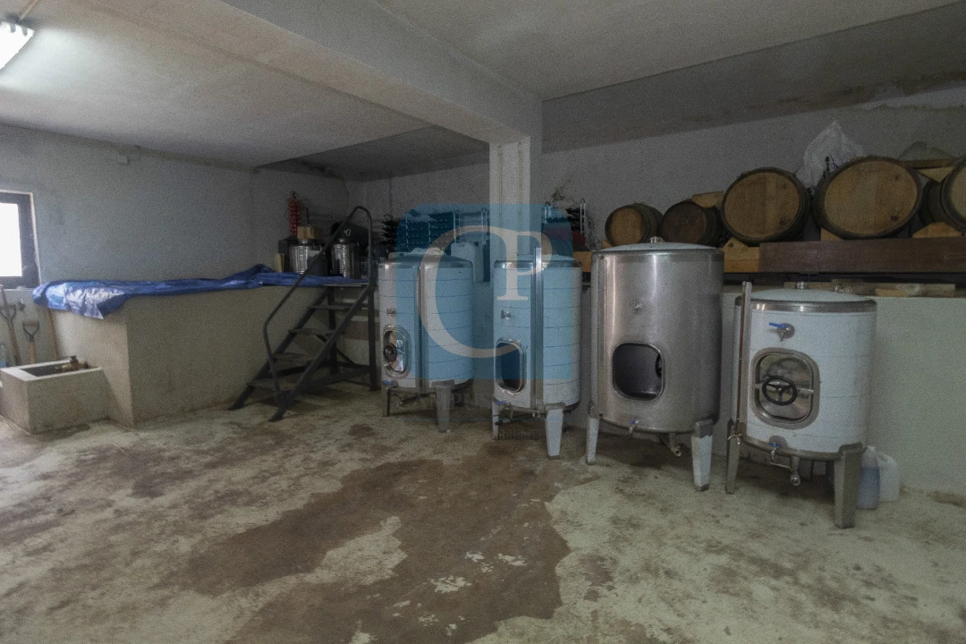 Quinta T3 para Venda em Seixo de Ansiães Foto 19