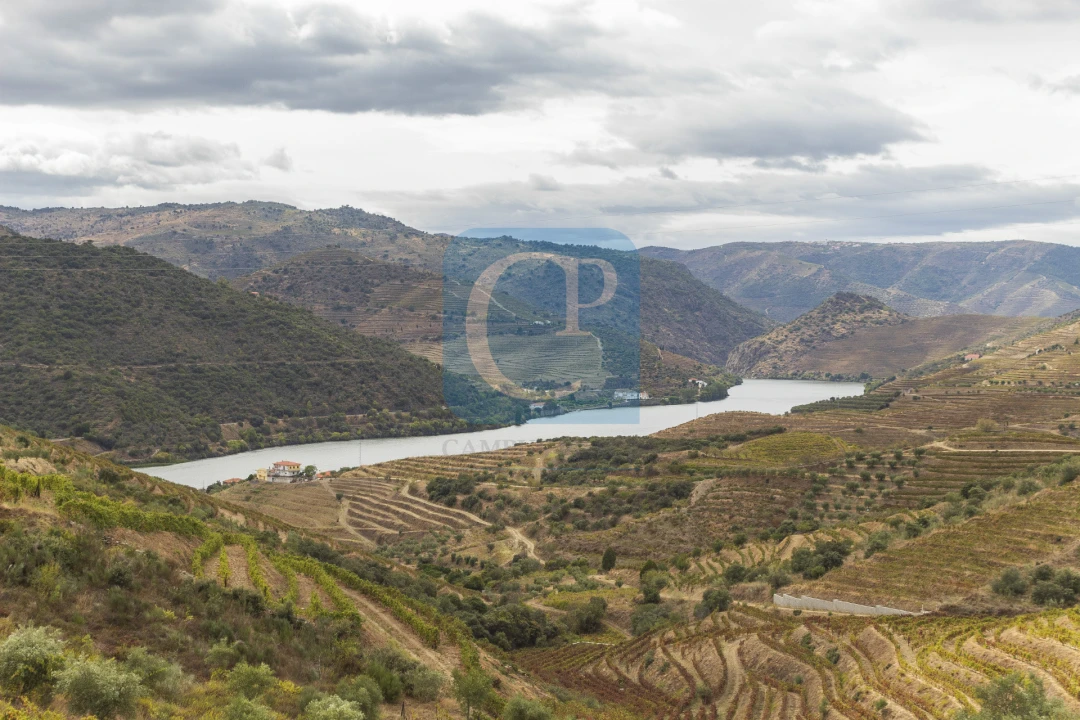 Quinta T3 para Venda em Seixo de Ansiães Foto 29