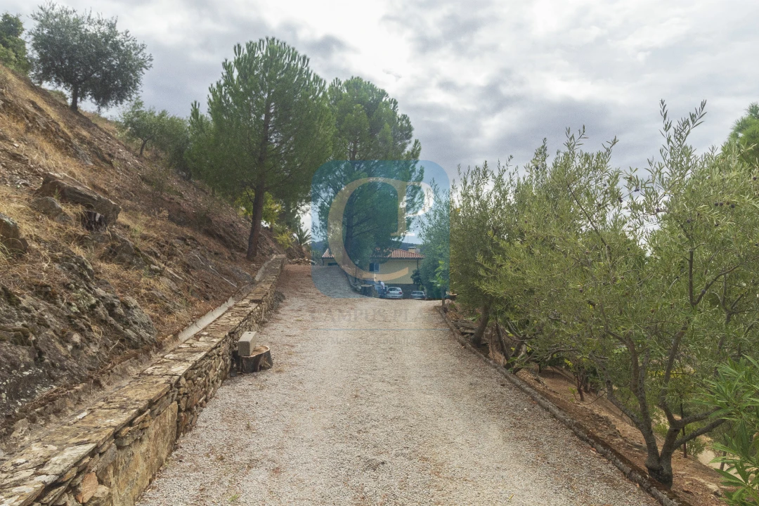 Quinta T3 para Venda em Seixo de Ansiães Foto 26