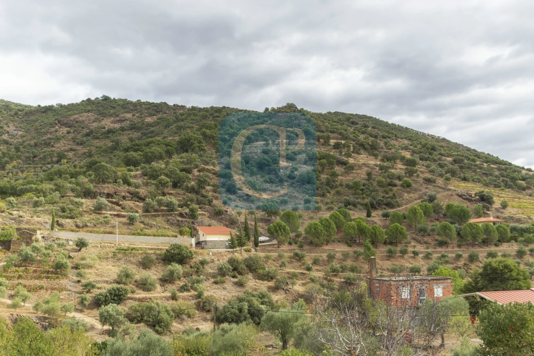 Quinta T3 para Venda em Seixo de Ansiães Foto 30