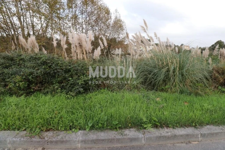 Terreno para Venda em Nogueira da Regedoura Foto 2