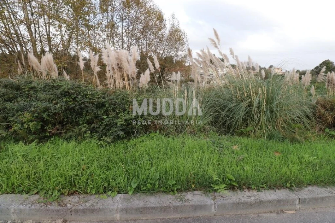 Terreno para Venda em Nogueira da Regedoura Foto 2