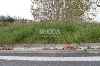 Terreno para Venda em Nogueira da Regedoura