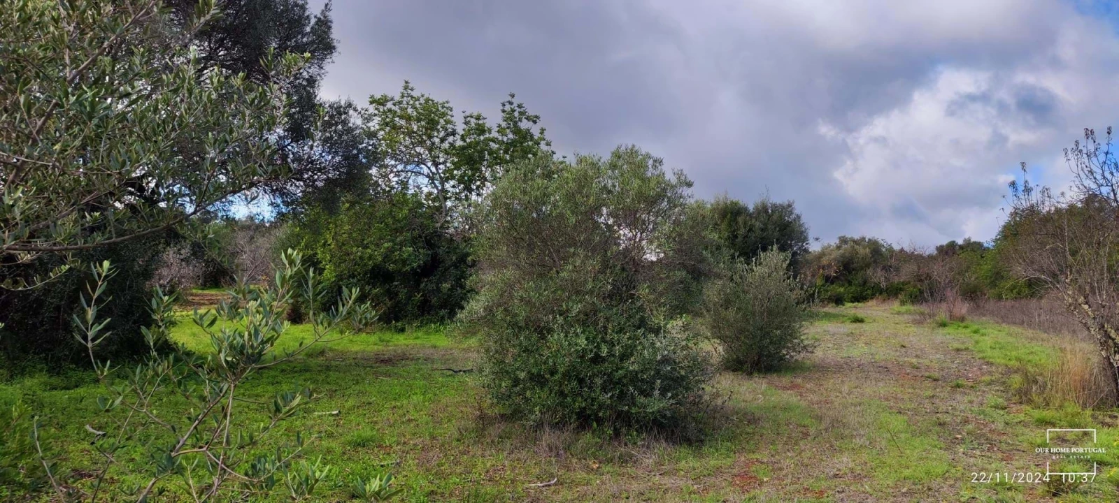 Terreno para Venda em Salir Foto 11