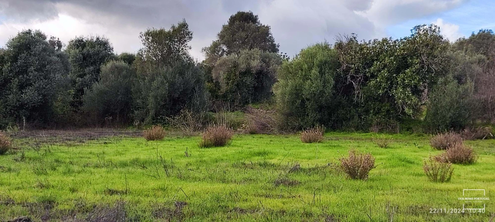 Terreno para Venda em Salir Foto 15