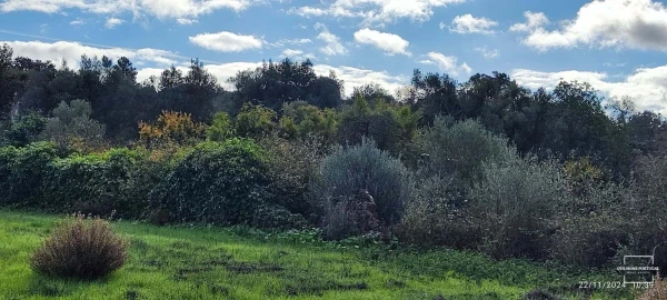 Terreno para Venda em Salir
