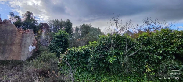 Terreno para Venda em Salir