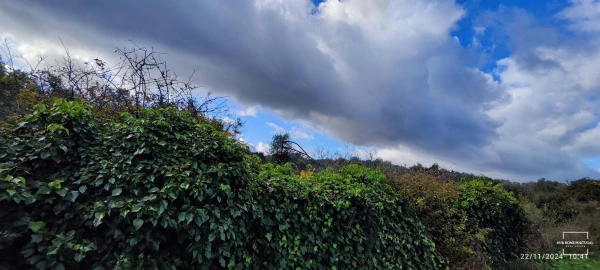Terreno para Venda em Salir