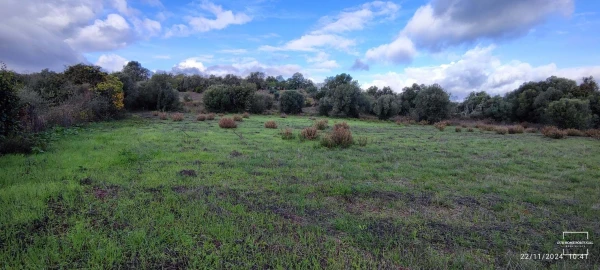 Terreno para Venda em Salir