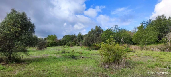 Terreno para Venda em Salir