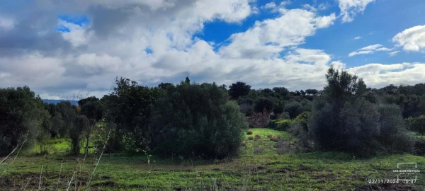 Terreno para Venda em Salir