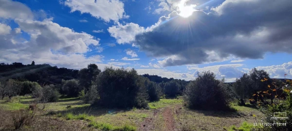Terreno para Venda em Salir
