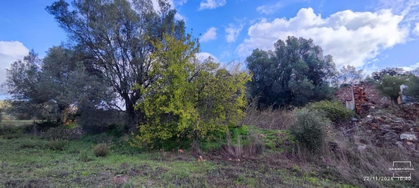 Terreno para Venda em Salir