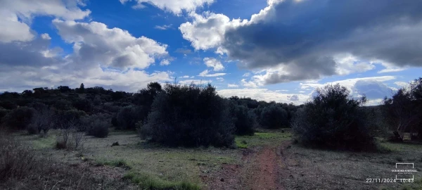 Terreno para Venda em Salir