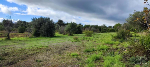 Terreno para Venda em Salir