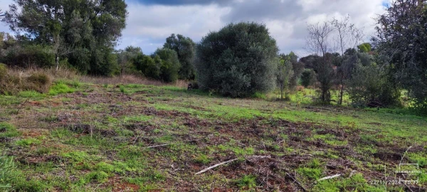 Terreno para Venda em Salir