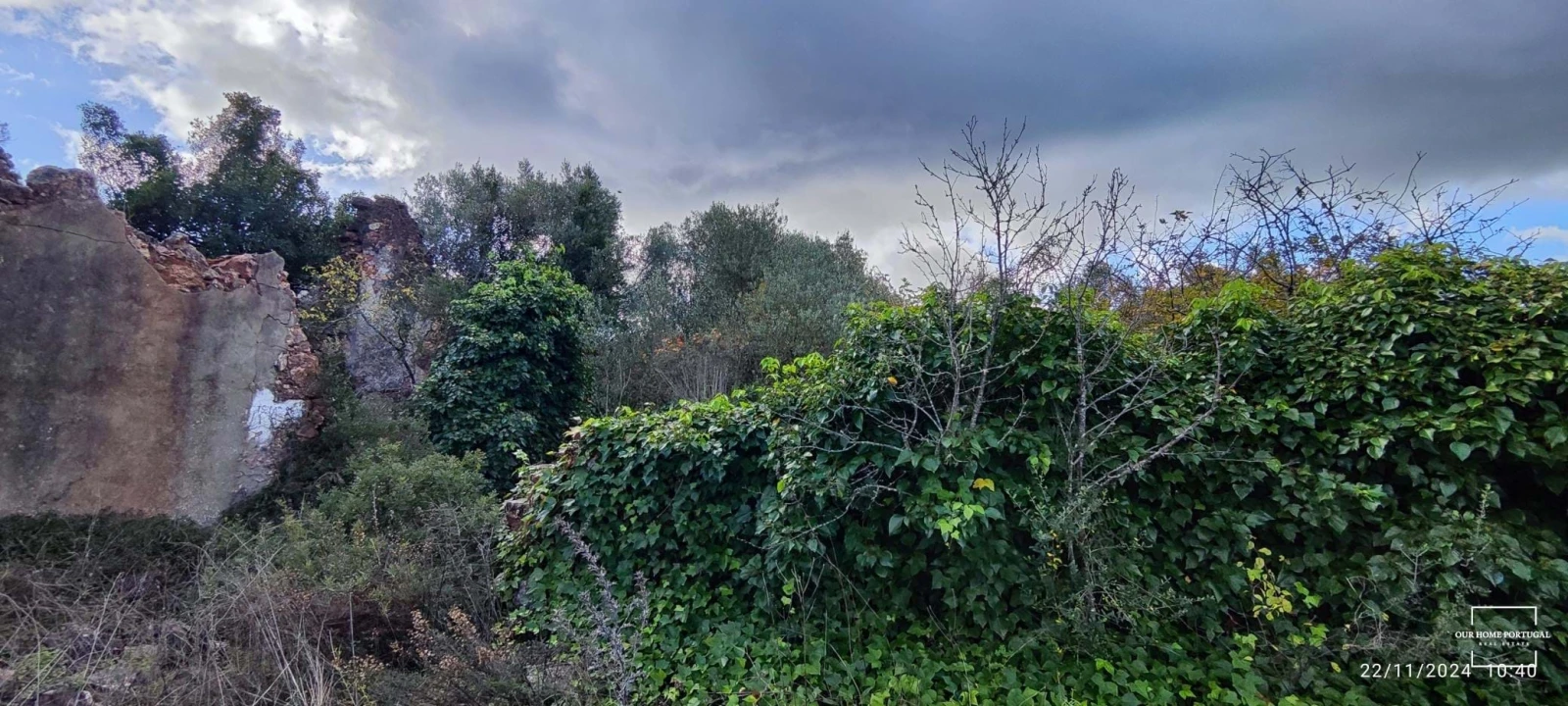 Terreno para Venda em Salir Foto 5