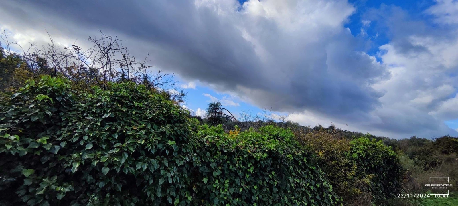 Terreno para Venda em Salir Foto 17