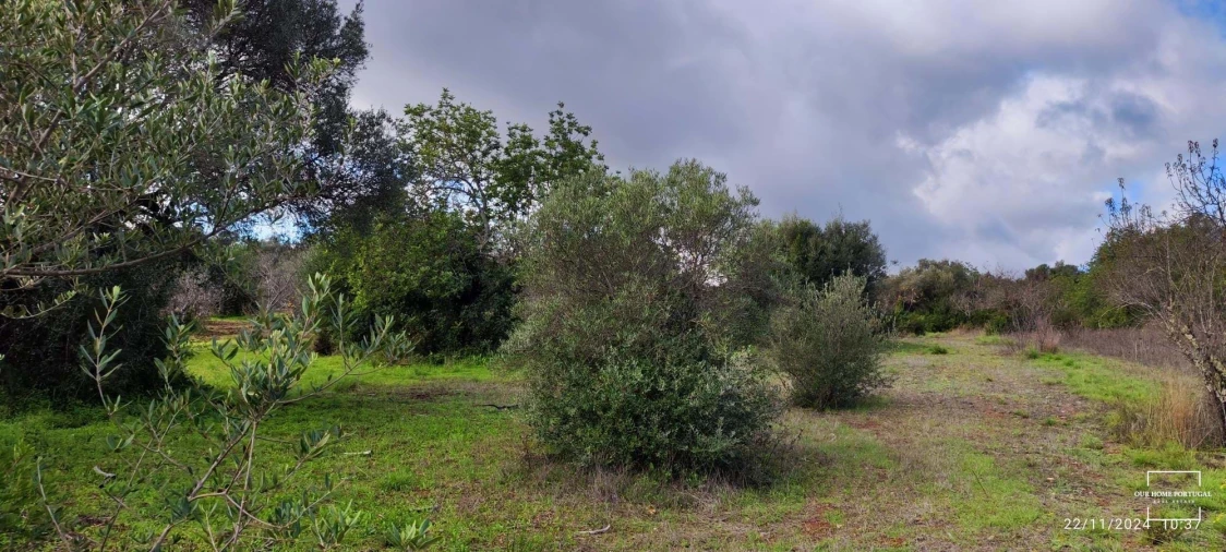 Terreno para Venda em Salir Foto 11